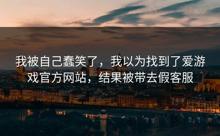 我被自己蠢笑了，我以为找到了爱游戏官方网站，结果被带去假客服